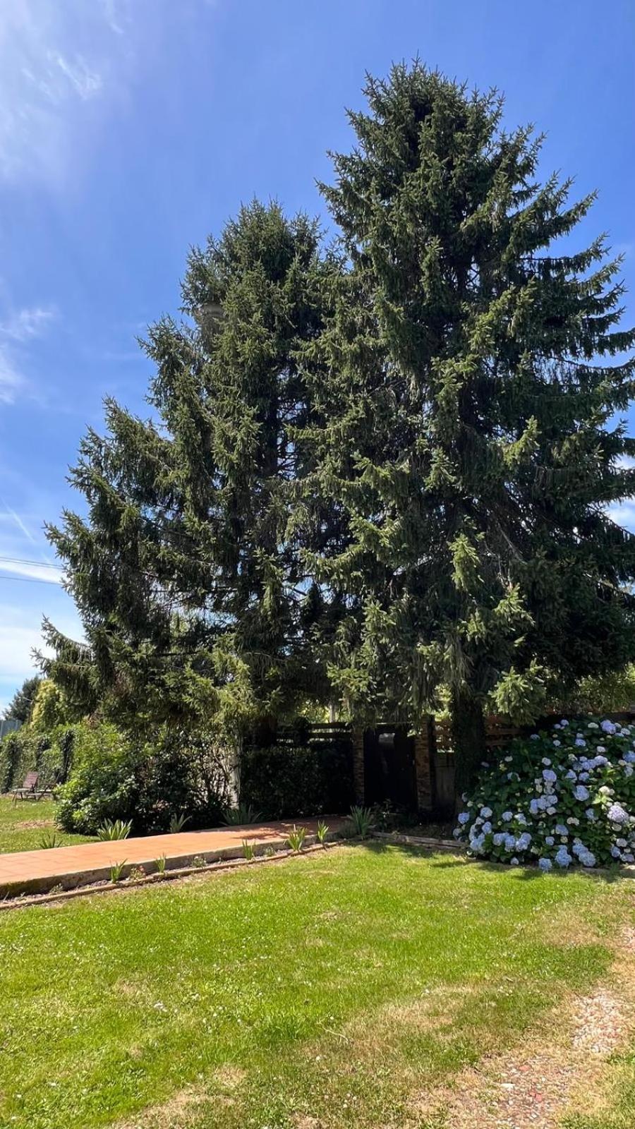 Twin Pines Camino Norte Арсуа Екстер'єр фото